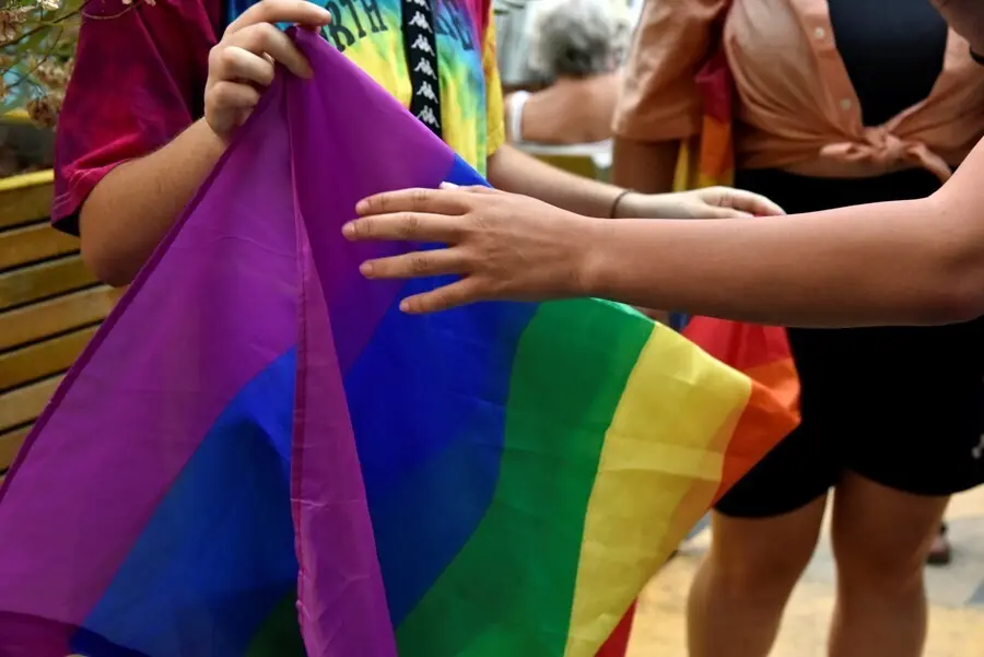 Archivo - Dos chicos sostienen la bandera LGTBI 