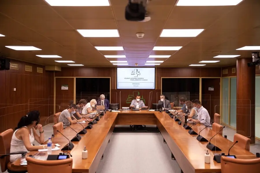 Comparecencia de Jonan Fern&aacute;ndez ante la Comisi&oacute;n de Sallud