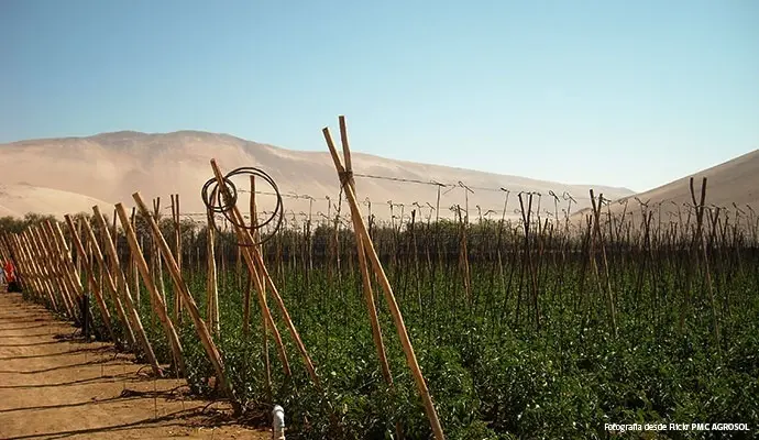 Archivo - Regi&oacute;n agr&iacute;cola chilena