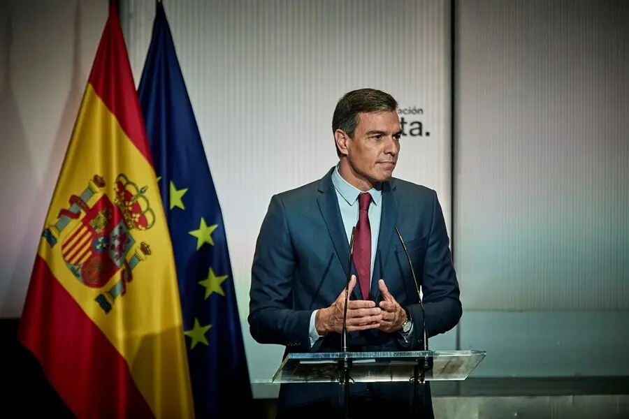 El presidente del Gobierno, Pedro S&aacute;nchez