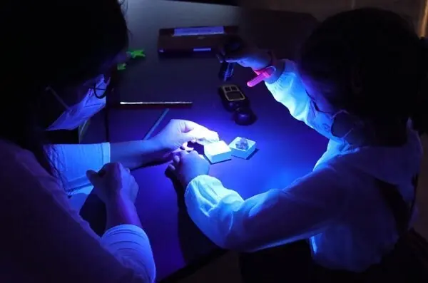 El Museo Nacional de Ciencias Naturales lanza su programa de actividades extraescolares para el curso 2021/2022