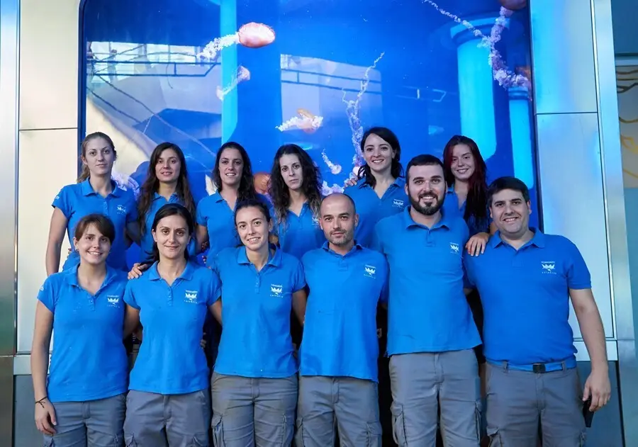 Archivo - El equipo de mediterr&aacute;neo-medusas del Oceanogr&agrave;fic
