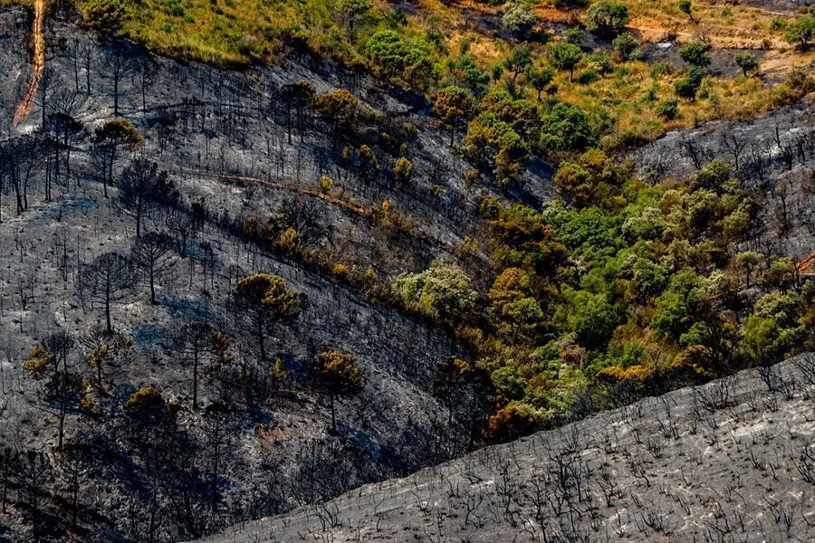 Paraje calcinados por el incendio en Sierra Bermeja a 10 de septiembre 2021 en Estepona (M&aacute;laga) (Andaluc&iacute;a)