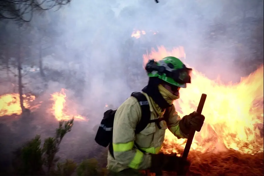 Un bombero lucha contra las llamas del incendio forestal declarado el pasado jueves 8 de septiembre en Sierra Bermeja, en la provincia de M&aacute;laga.