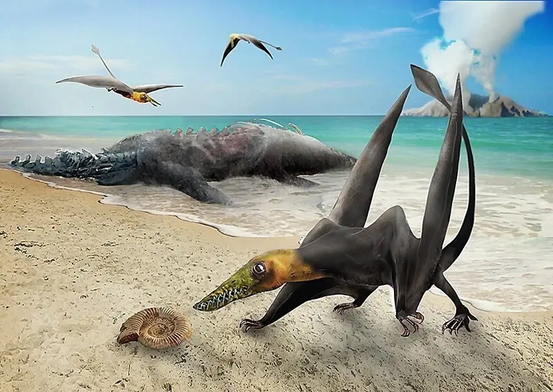 El hallazgo corresponde al m&aacute;s antiguo pterosaurio encontrado hasta el momento en Chile, un reptil volador de la familia de los ranforrincos que vivi&oacute; en el per&iacute;odo Jur&aacute;sico.