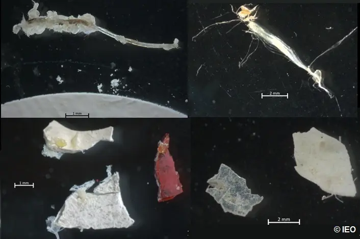 Micropl&aacute;sticos recogidos en aguas de la r&iacute;a de Vigo por investigadores del Instituto Espa&ntilde;ol de Oceanograf&iacute;a (IEO).