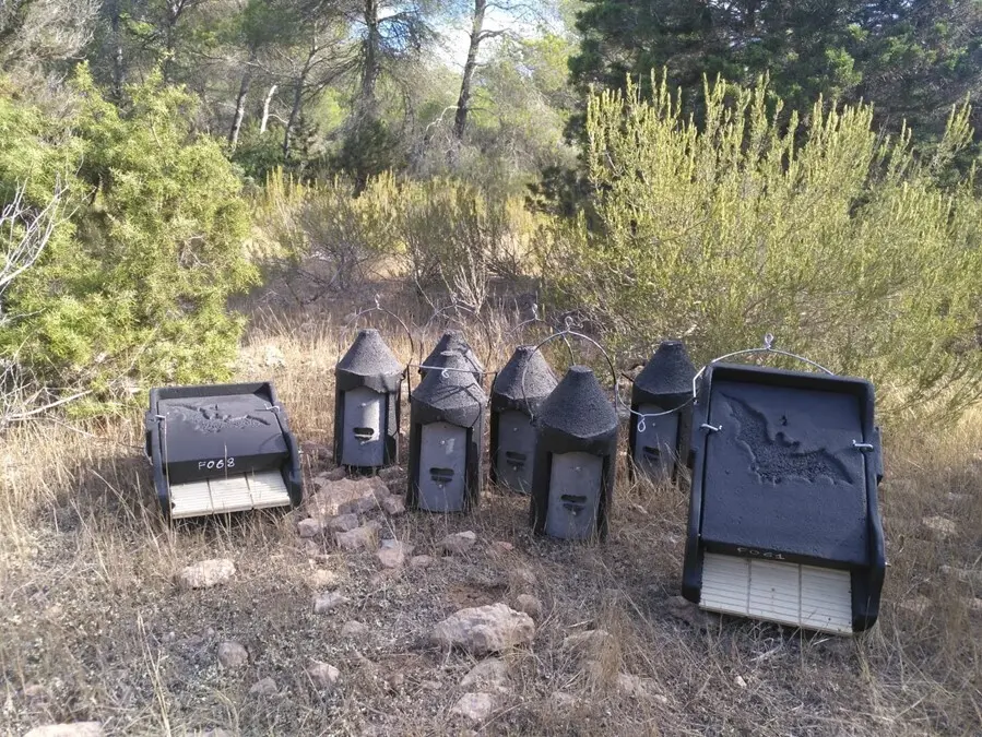 Cajas nido para murci&eacute;lagos.