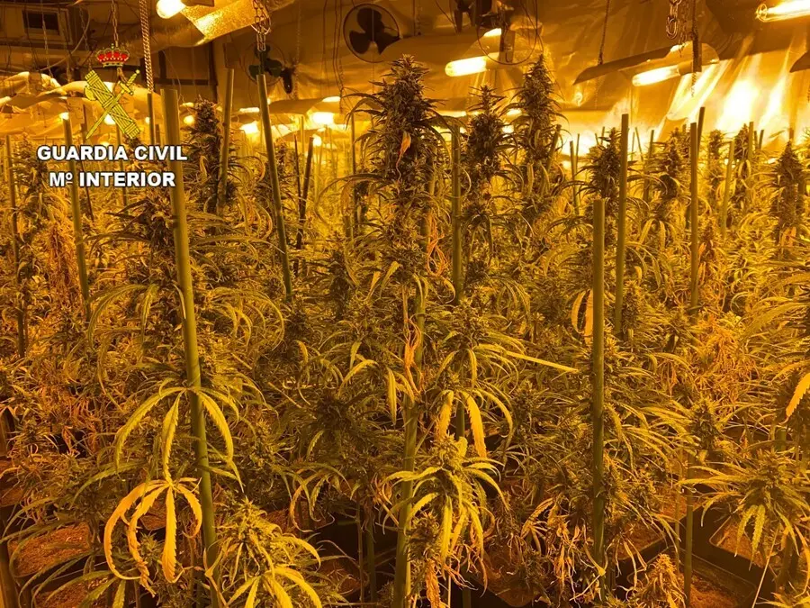 La Guardia Civil detiene a 26 personas con m&aacute;s de 200 agentes desplegados en una macrooperaci&oacute;n contra el tr&aacute;fico de drogas en la comarca de La Sagra.
