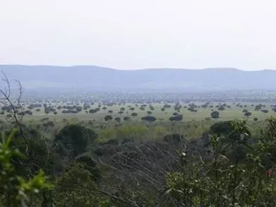 Dehesas del Parque Nacional de Caba&ntilde;eros .