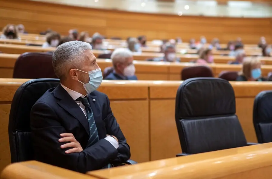 El ministro de Interior, Fernando Grande-Marlaska, durante el pleno del Senado
