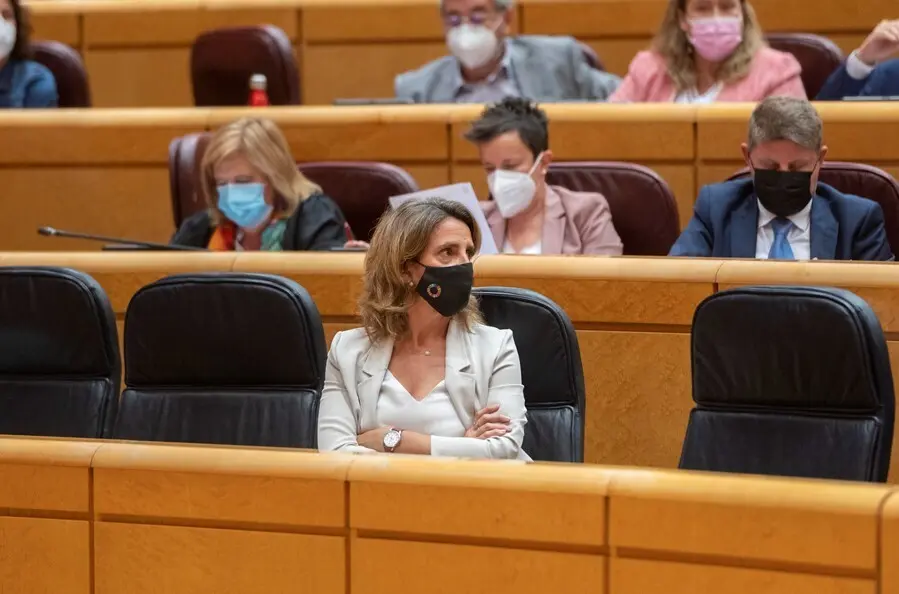 La vicepresidenta tercera y ministra de Transici&oacute;n Ecol&oacute;gica y Reto Demogr&aacute;fico, Teresa Ribera, 