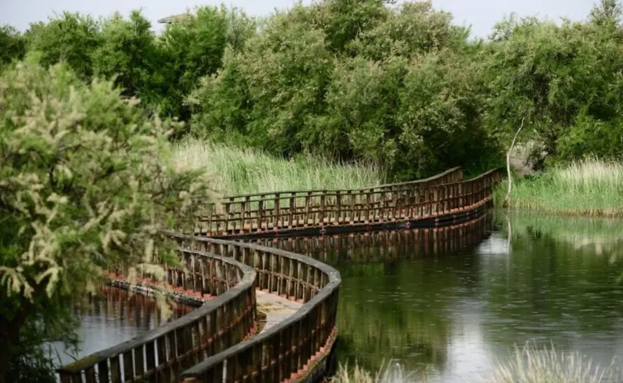 Aprobado el bombeo de agua de pozos a las Tablas de Daimiel para paliar la situaci&oacute;n h&iacute;drica del parque