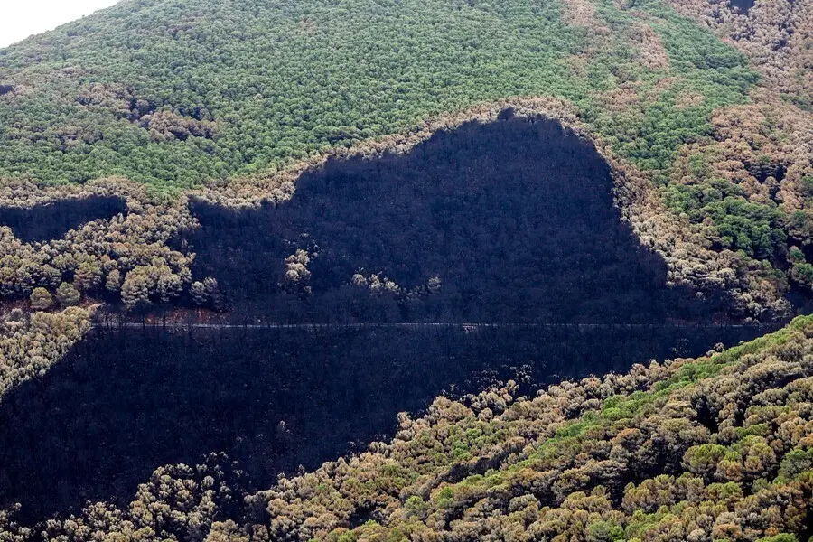 Zonas quemadas por el incendio de Sierra Bermeja, en el &aacute;rea de Puerto de Pe&ntilde;as Blancas a 14 de septiembre 2021 en Estepona (M&aacute;laga) Andaluc&iacute;a