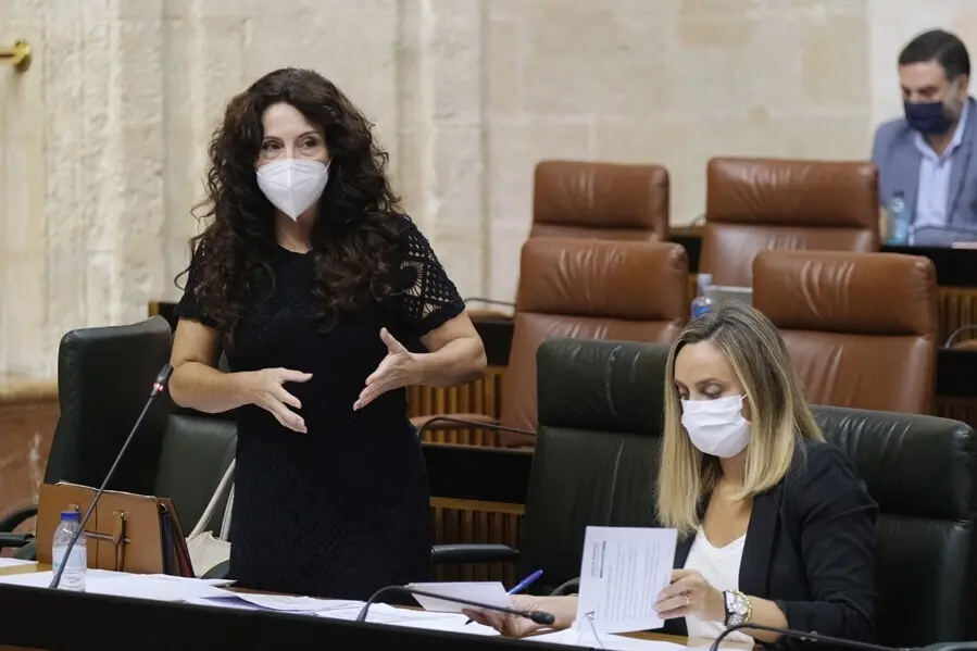 La consejera de Igualdad, Pol&iacute;ticas Sociales y Conciliaci&oacute;n, Roc&iacute;o Ruiz