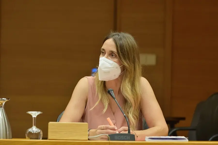La diputada y portavoz de Comprom&iacute;s en la Comisi&oacute;n de Derechos Humanos en las Corts Valencianes, Cristina Rodr&iacute;guez