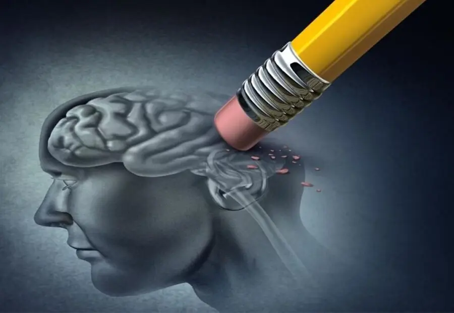 El D&iacute;a Mundial del Alzheimer se celebra este martes bajo el lema 'Cero emisiones, Cero Alzheimer'.