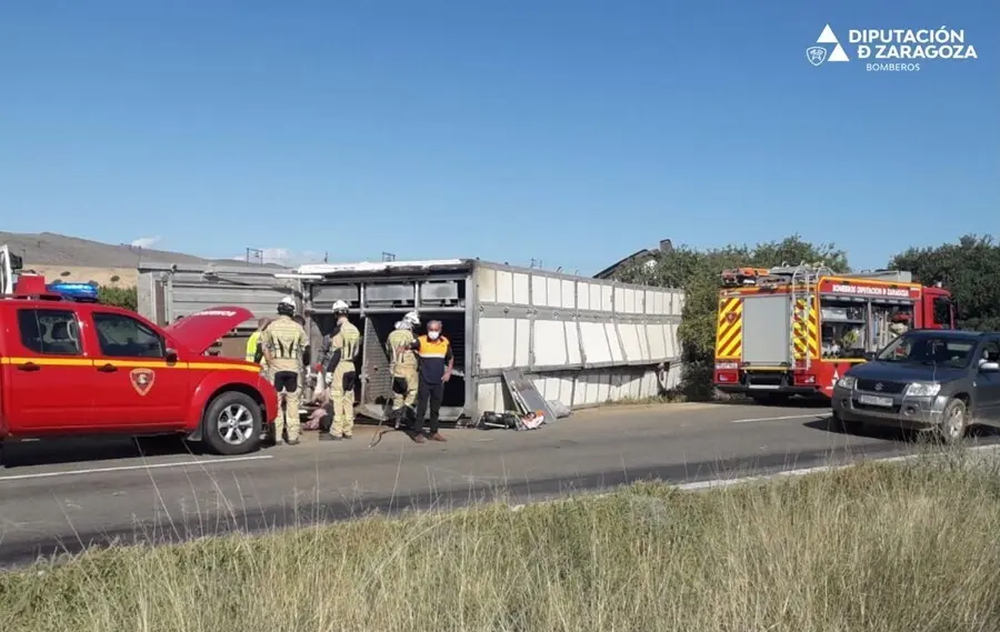Vuelca un cami&oacute;n que transportaba cerca de 200 cerdos, en la carretera A-121, en Ricla (Zaragoza).