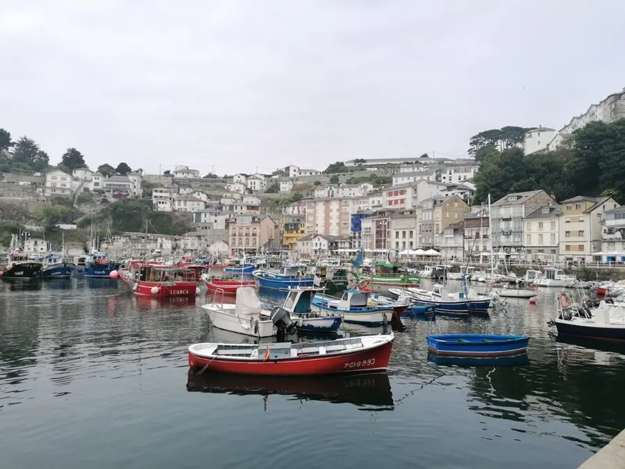 Archivo - Puerto de Luarca, municipio de Vald&eacute;s. Barcos. Pesca.