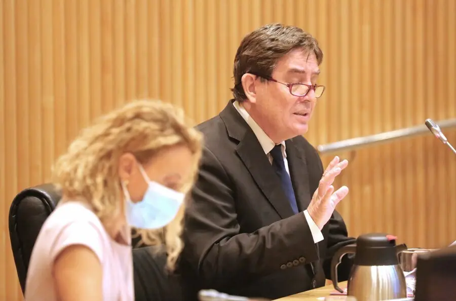 La presidenta del Congreso de los Diputados, Meritxell Batet (i), y el director del Instituto Cervantes, Luis Garc&iacute;a Montero (d), en el acto conmemorativo del 30 Aniversario del Instituto Cervantes
