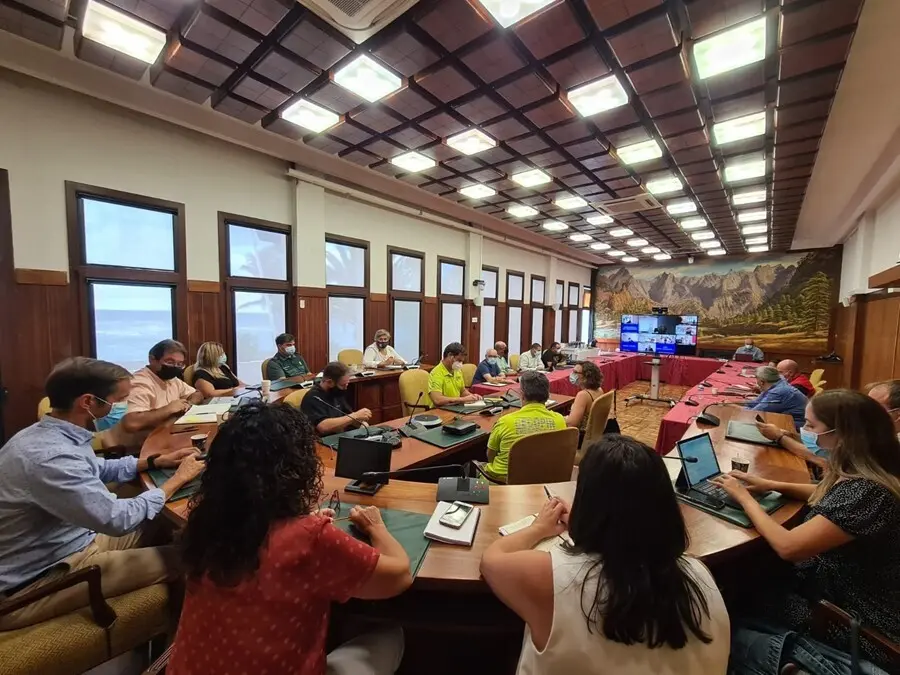 Reuni&oacute;n del comit&eacute; de direcci&oacute;n del Pevolca
