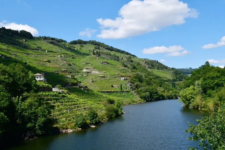 Reserva de la biosfera