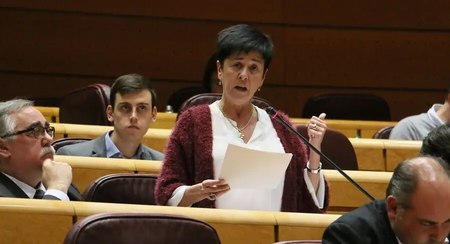 Archivo - Nerea Ahedo, senadora del PNV