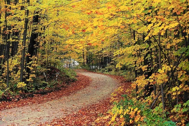 Archivo - El oto&ntilde;o llegar&aacute; a las 21.21 horas (hora peninsular) de este mi&eacute;rcoles 22 de septiembre, y durar&aacute; 89 d&iacute;as y 20 horas. La estaci&oacute;n acabar&aacute; el 21 de diciembre con la llegada del invierno, seg&uacute;n el Instituto Geogr&aacute;fico Nacional