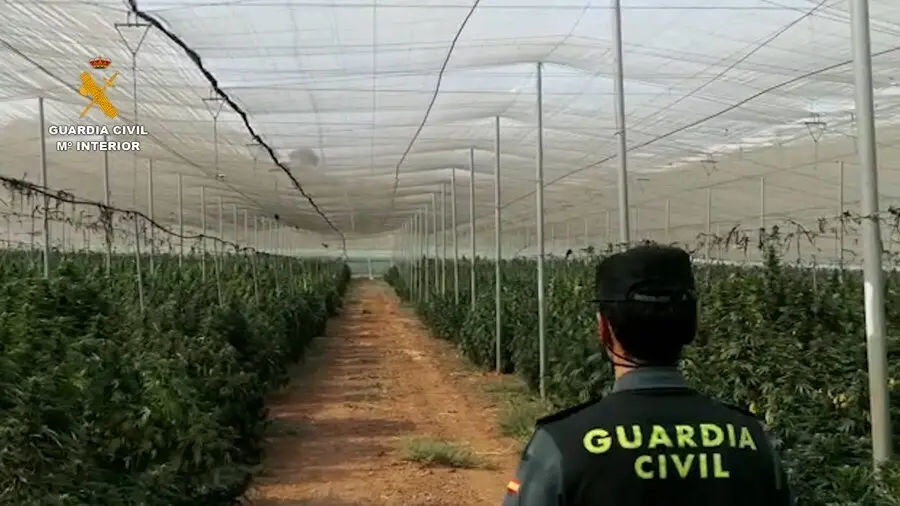 Operaci&oacute;n de la Guardia Civil