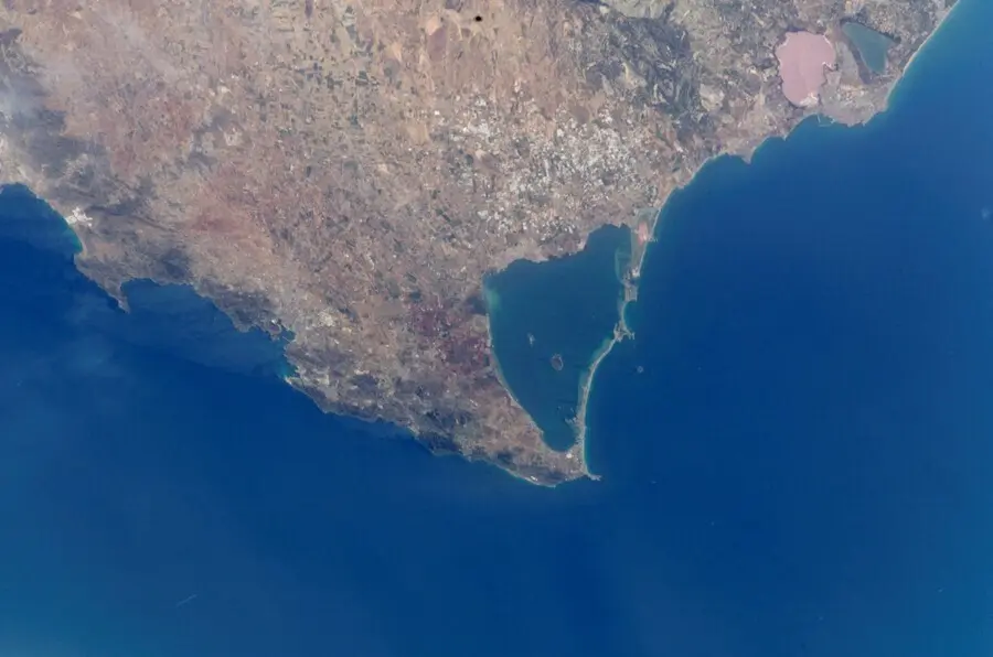 Archivo - IEO se&ntilde;ala al vertido continuado de nutrientes agr&iacute;colas como principal causa de mortandad de fauna en el Mar Menor