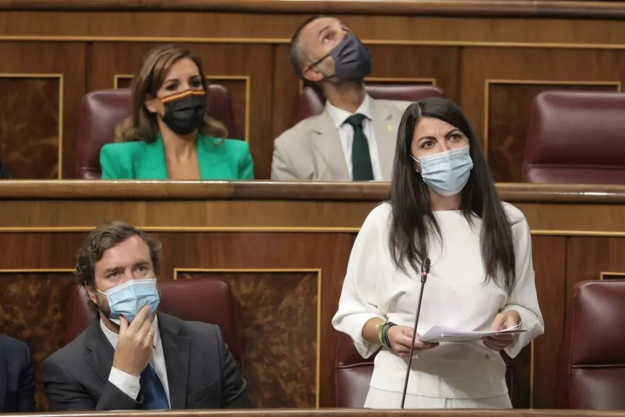 Varios diputados de Vox durante la sesi&oacute;n plenaria del Congreso