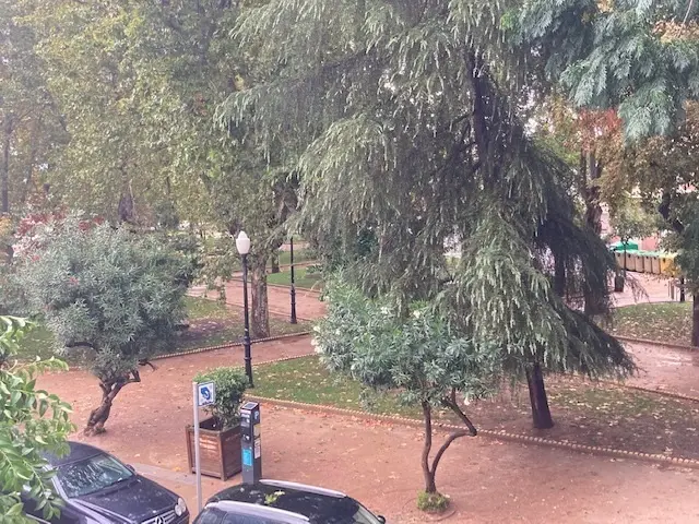 Parque de M&eacute;rida en un d&iacute;a lluvioso