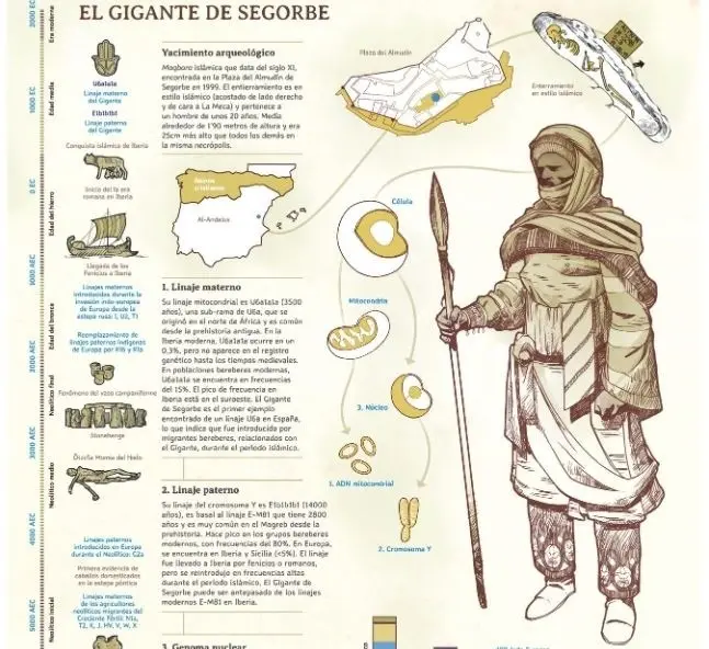 Descripci&oacute;n del Gigante de Segorbe