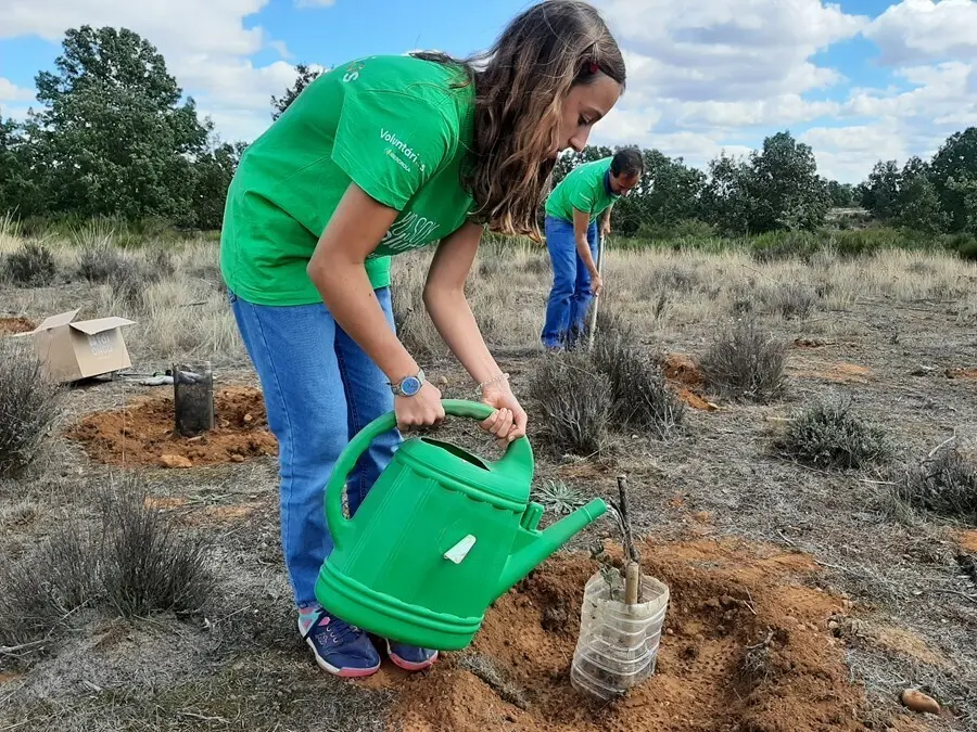 Voluntaria de Iberdrola participando en una actividad de reforestaci&oacute;n