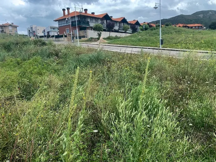 Solar Castro Urdiales 2