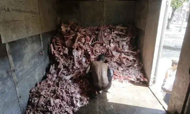 A man scavenges through animal carcasses for food in Rio. Photograph: Domingos Peixoto/Ag&ecirc;ncia O Globo
