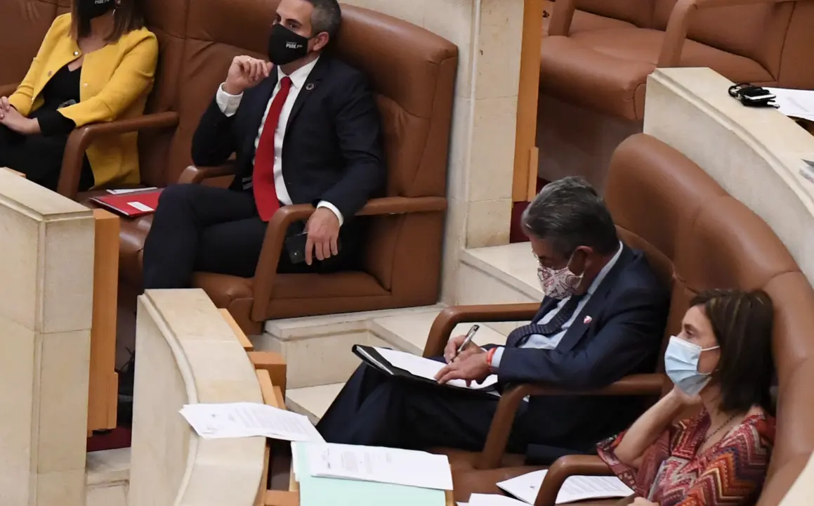 Varios de los diputados que sustentan el Gobierno regional-socialista en el Parlamento de Cantabria. / ALERTA