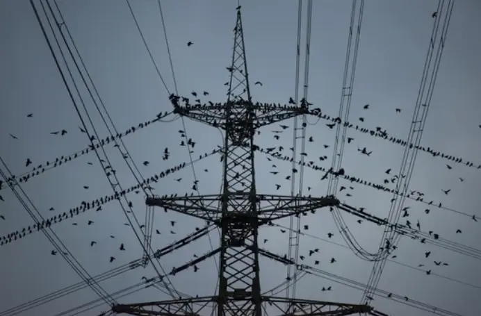 Tendido el&eacute;ctrico.