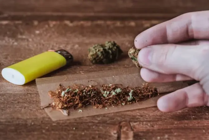 Una persona prepara cannabis para su consumo.Ana EscobarEFE