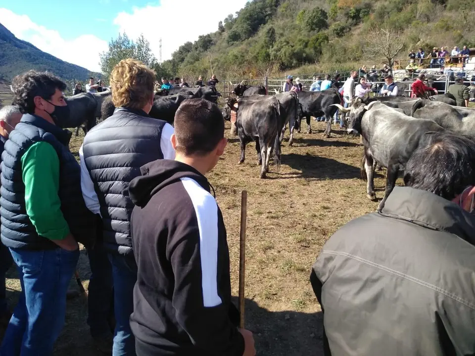 Asistentes a la Feria Ganadera de Potes.