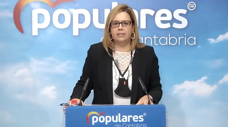 La diputada por Cantabria, Elena Castillo durante la rueda de prensa. / ALERTA
