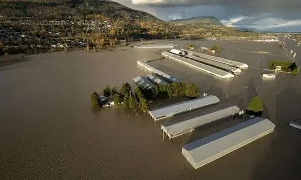 Graneros parcialmente sumergidos en Abbotsford, Columbia Brit&aacute;nica, una de las &aacute;reas de cultivo m&aacute;s intensivo de Canad&aacute;. Fotograf&iacute;a: Jonathan Hayward / AP