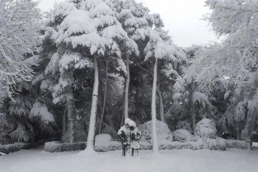 Vista de un parque nevado en Zaragoza, este domingo, cuando la Agencia Estatal de Meteorolog&iacute;a (Aemet) mantiene activada las alertas por nevadas, de nivel naranja en el Pirineo y las Cinco Villas, por riesgo de aludes y por fuertes rachas de viento en varias zonas de Arag&oacute;n. EFE/ Lourdes Sarsa