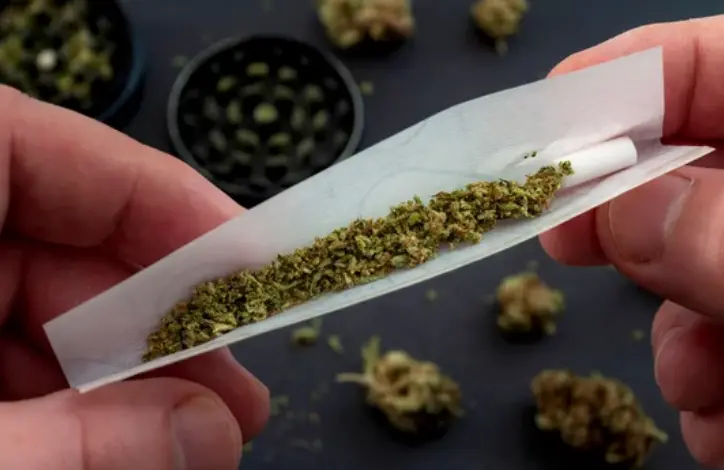 Cannabis