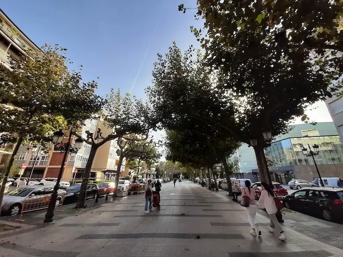 Vista de la Avenida de Espa&ntilde;a. / alerta