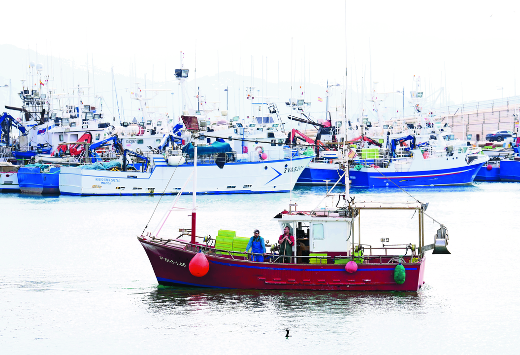 Barcos pesqueros en el puerto de Santo&ntilde;a. / E.P.