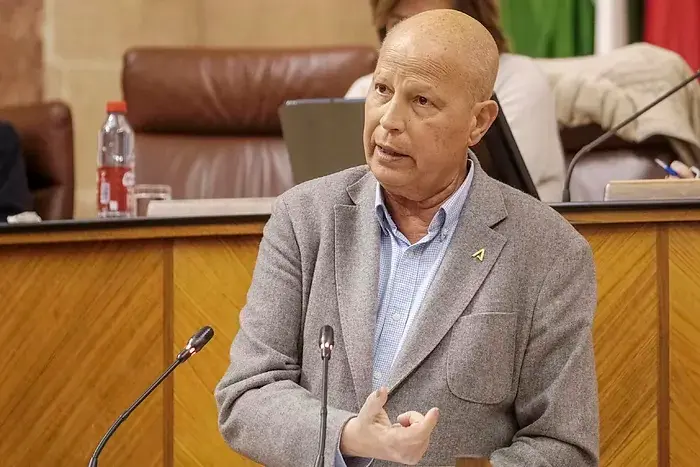 El consejero de Educaci&oacute;n y Deportes, Javier Imbroda, en el Parlamento de Andaluc&iacute;a.EUROPA PRESS
