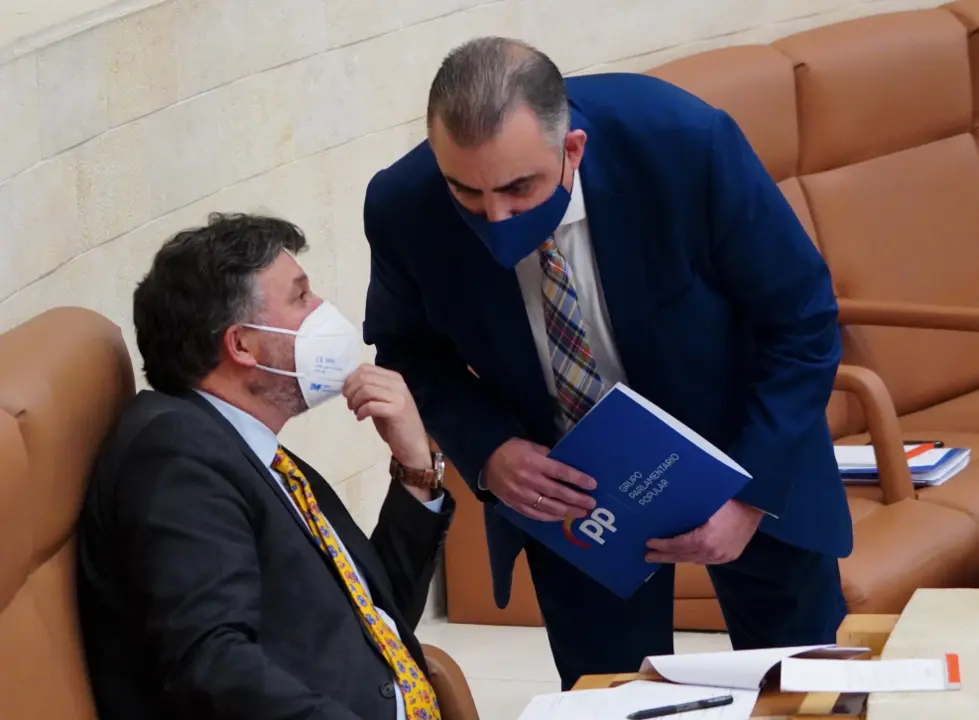 El diputado Crist&oacute;bal Palacio de Vox en el Parlamento de Cantabria. / ALERTA