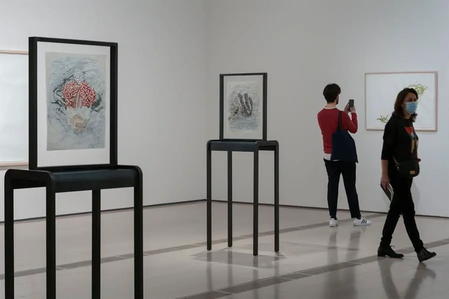 Vista de alguna de las obras de la artista estadounidense Ellen Gallagher que forma parte de la exposici&oacute;n de su obra llamada 'Ellen Gallagher with Edgar Cleijne: A law&hellip; a blueprint&hellip; a scale' que se inaugura este mi&eacute;rcoles en el Centro Bot&iacute;n en Santander. EFE/ Rom&aacute;n G. Aguilera