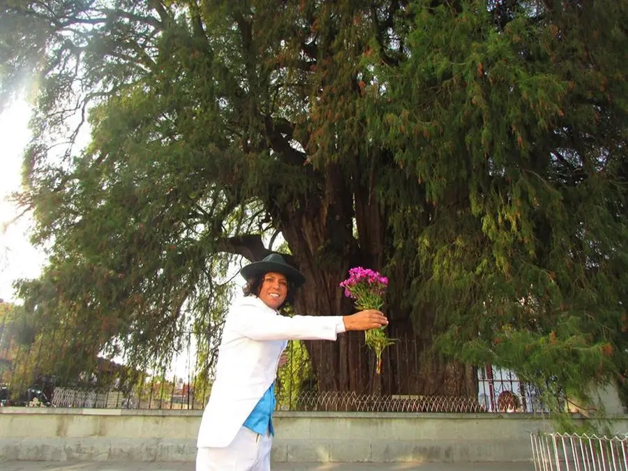 El actor peruano Richard Torres se casar&aacute; simb&oacute;licamente con un "ahuehete" o cipr&eacute;s mexicano en el madrile&ntilde;o Parque de El Retiro, en v&iacute;speras de que se celebre el D&iacute;a de la Tierra. EFE/Richard Torres/Foto cedida