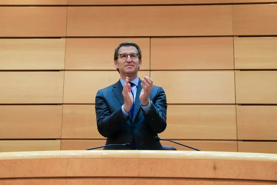 El l&iacute;der del PP Alberto N&uacute;&ntilde;ez Feij&oacute;o, este viernes en el Senado.- EFE/Zipi